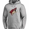 ARIZONA COYOTES FANATICS MEN'S PRIMARY LOGO HOODIE -Jersey shop Arizona Coyotes Fanatics Mens Primary Logo Hoodie Front min