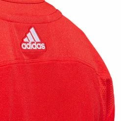 DETROIT RED WINGS ADIDAS ADIZERO PRIMEGREEN AUTHENTIC RED HOME JERSEY 11 DETROIT RED WINGS ADIDAS ADIZERO PRIMEGREEN AUTHENTIC RED HOME JERSEY -Jersey shop DETROIT RED WINGS ADIDAS ADIZERO PRIMEGREEN AUTHENTIC RED HOME JERSEY COLLAR